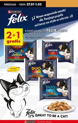 Biedronka Karma dla kota z wołowiną i drobiem Purina Felix Fantastic Duo oferta