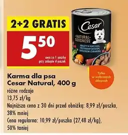 Biedronka Karma dla psa z kurczakiem Cesar (Karma) oferta