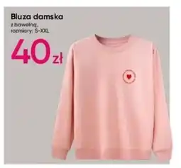 Pepco Bluza damska oferta