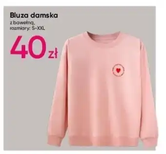 Pepco Bluza damska oferta