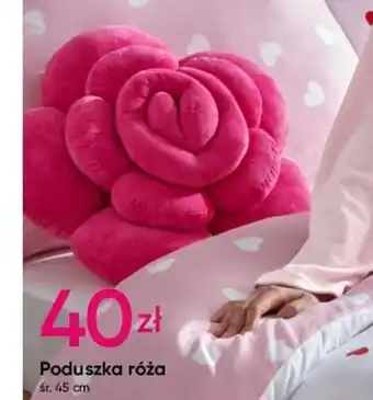 Pepco Poduszka róża oferta