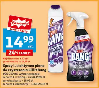 Auchan Spray koniec z pleśnią Cillit Bang oferta