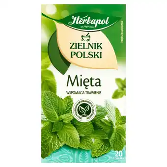 Lewiatan Herbapol Zielnik Polski Herbatka ziołowa mięta 40 g (20 x 2 g) oferta