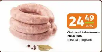 Gama Kiełbasa biała surowa polonus oferta