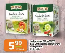 Gama Herbata exp BIG-ACTIVE Biała Herbapol oferta