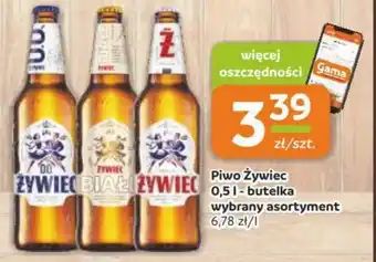 Gama Piwo Żywiec - butelka oferta