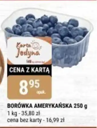 bi1 Borówka amerykańska oferta