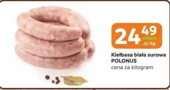 Gama Kiełbasa biała Polonus oferta