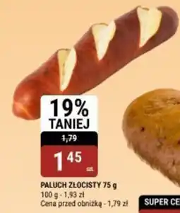 bi1 Paluch złocisty oferta