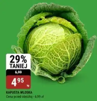 bi1 Kapusta włoska oferta