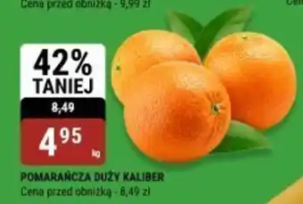 bi1 Pomarańcza duży kaliber oferta