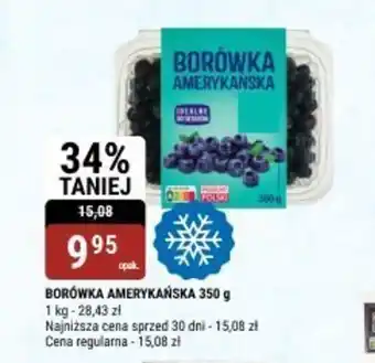 bi1 Borówka amerykańska oferta