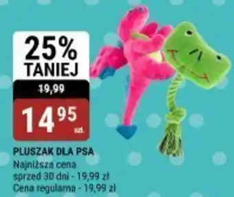 bi1 Pluszak dla psa oferta