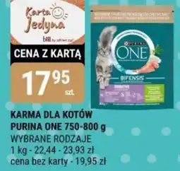 bi1 Karma dla kotów purina one oferta