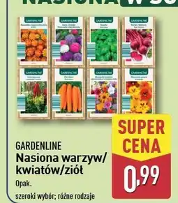 ALDI Hortensja ogrodowa Gardenline oferta