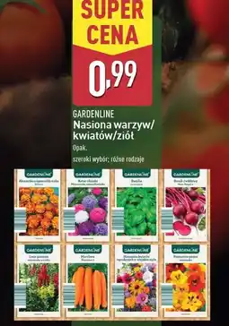 ALDI Nasturcja Gardenline oferta