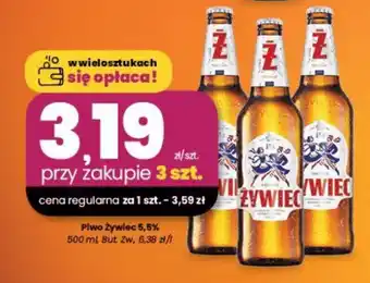 EMMA market Piwo Żywiec 5,5% oferta