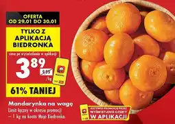 Biedronka Mandarynki oferta