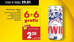 Biedronka Piwo Żywiec Jasne Pełne oferta