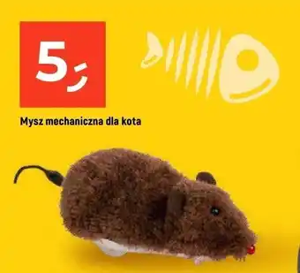 Dealz Mysz dla kota oferta