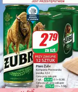 Dino Piwo Żubr 1768 oferta