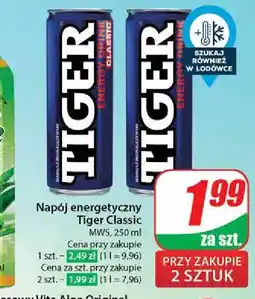 Dino Napój classic Tiger Energy Drink oferta