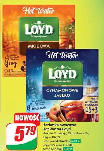 Dino Herbata miodowa Loyd Tea The Magic Experience oferta