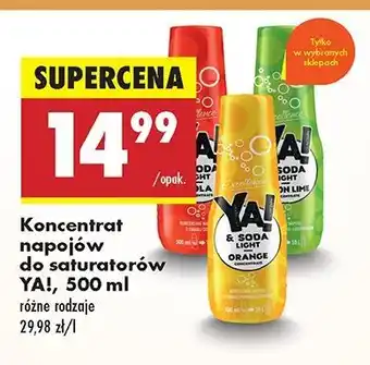 Biedronka Syrop do saturatorów cytryna-limonka Excellence Ya! oferta