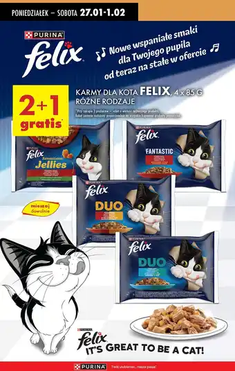 Biedronka Karma dla kota wołowina i kurczak Purina Felix Fantastic oferta