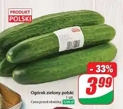 Dino Ogórek polska oferta