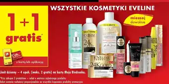 Biedronka Żel do brwi Eveline Brow & Go! oferta