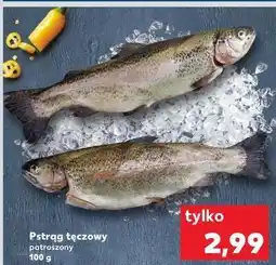 Kaufland Pstrąg tęczowy patroszony oferta