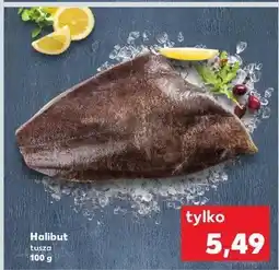 Kaufland Halibut świeży tusza oferta