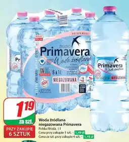 Dino Woda niegazowana Primavera oferta