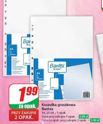 Dino Koszulki a4 Bantex oferta