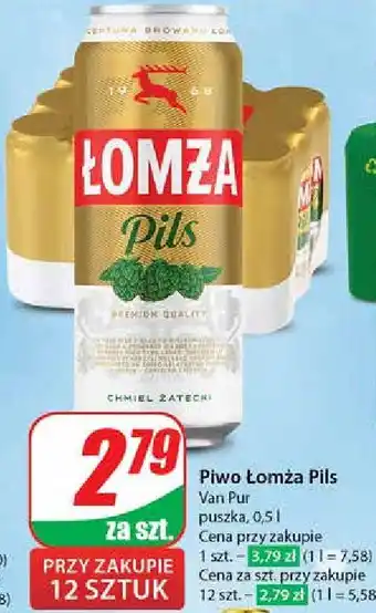 Dino Piwo Łomża Pils oferta