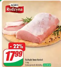 Dino Schab bez kości Agro Rydzyna oferta