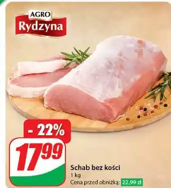 Dino Schab bez kości Agro Rydzyna oferta