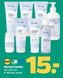 Netto Derma Family oferta