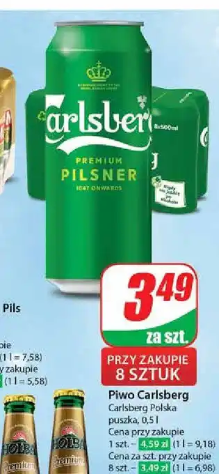 Dino Piwo Carlsberg oferta