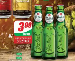 Dino Piwo Grolsch oferta