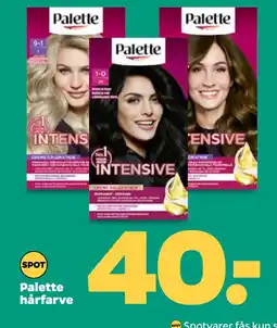 Netto Palette hårfarve oferta