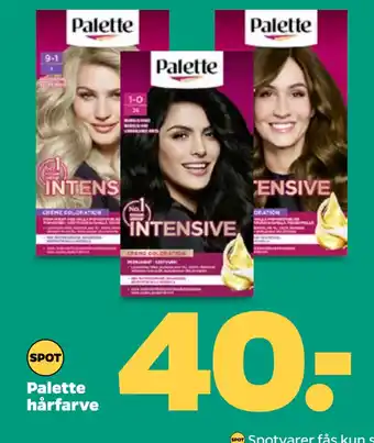 Netto Palette hårfarve oferta