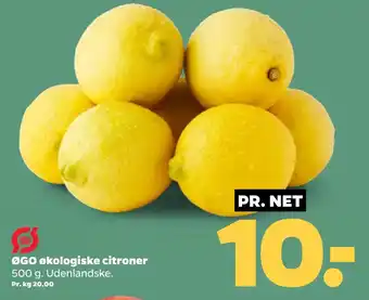 Netto ØGO økologiske citroner oferta