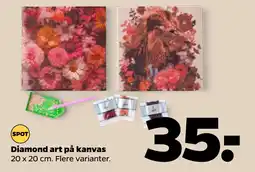 Netto Diamond art på kanvas oferta