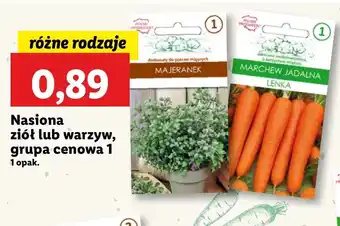 Lidl Nasiona warzyw Lu oferta