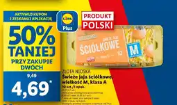 Lidl Jaja Złota nioska oferta