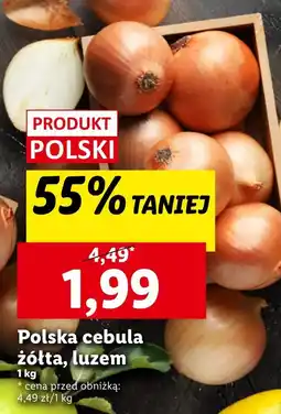 Lidl Cebula Polski oferta