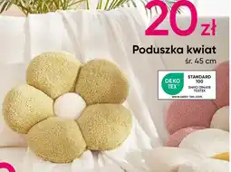 Pepco Poduszka kwiat oferta