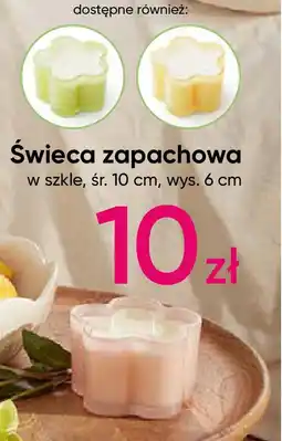 Pepco Świeca zapachowa oferta